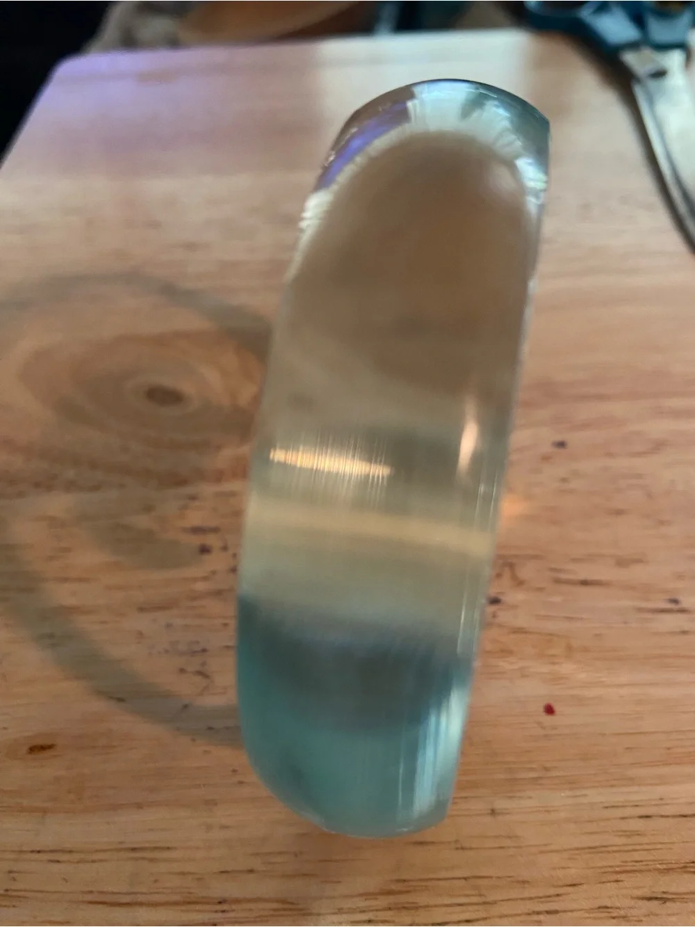 Clear Turtle Paperweight Signed David Alan